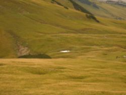 2013-09-08_6Falkenh-Steinfalk (132).JPG